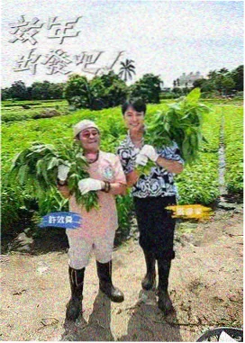 声浪计划综艺免费在线观看